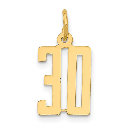 Million Charms 14K Yellow Gold Themed Small Polished Elongated 30 Charm