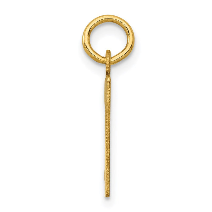 Million Charms 14K Yellow Gold Themed Small Polished Elongated 37 Charm