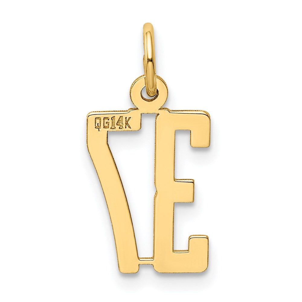 Million Charms 14K Yellow Gold Themed Small Polished Elongated 37 Charm