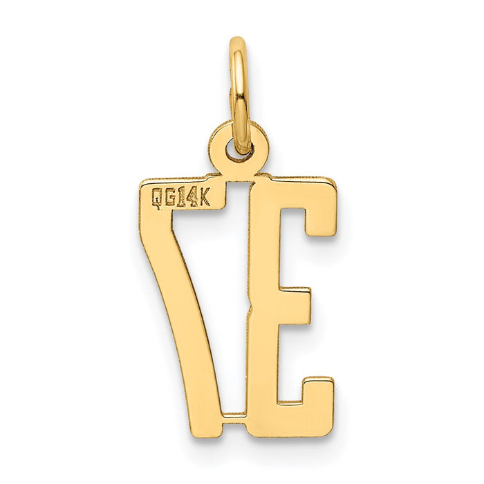 Million Charms 14K Yellow Gold Themed Small Polished Elongated 37 Charm