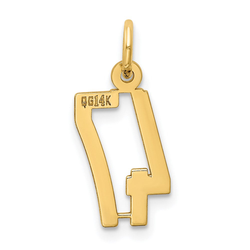 Million Charms 14K Yellow Gold Themed Small Polished Elongated 47 Charm