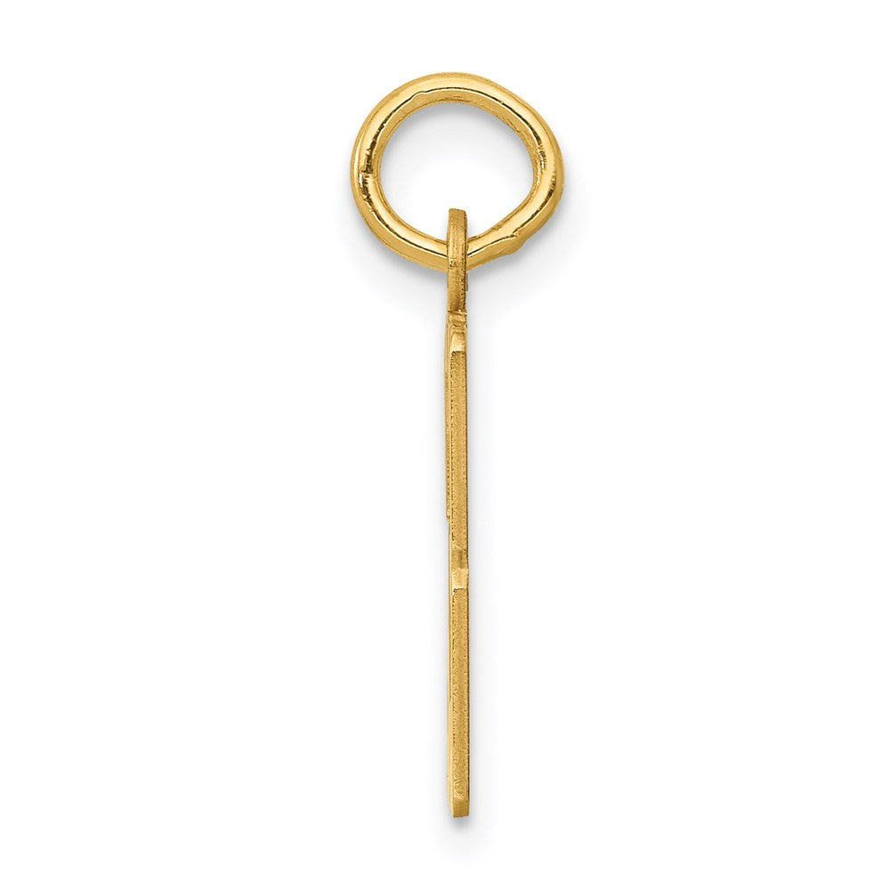 Million Charms 14K Yellow Gold Themed Small Polished Elongated 53 Charm