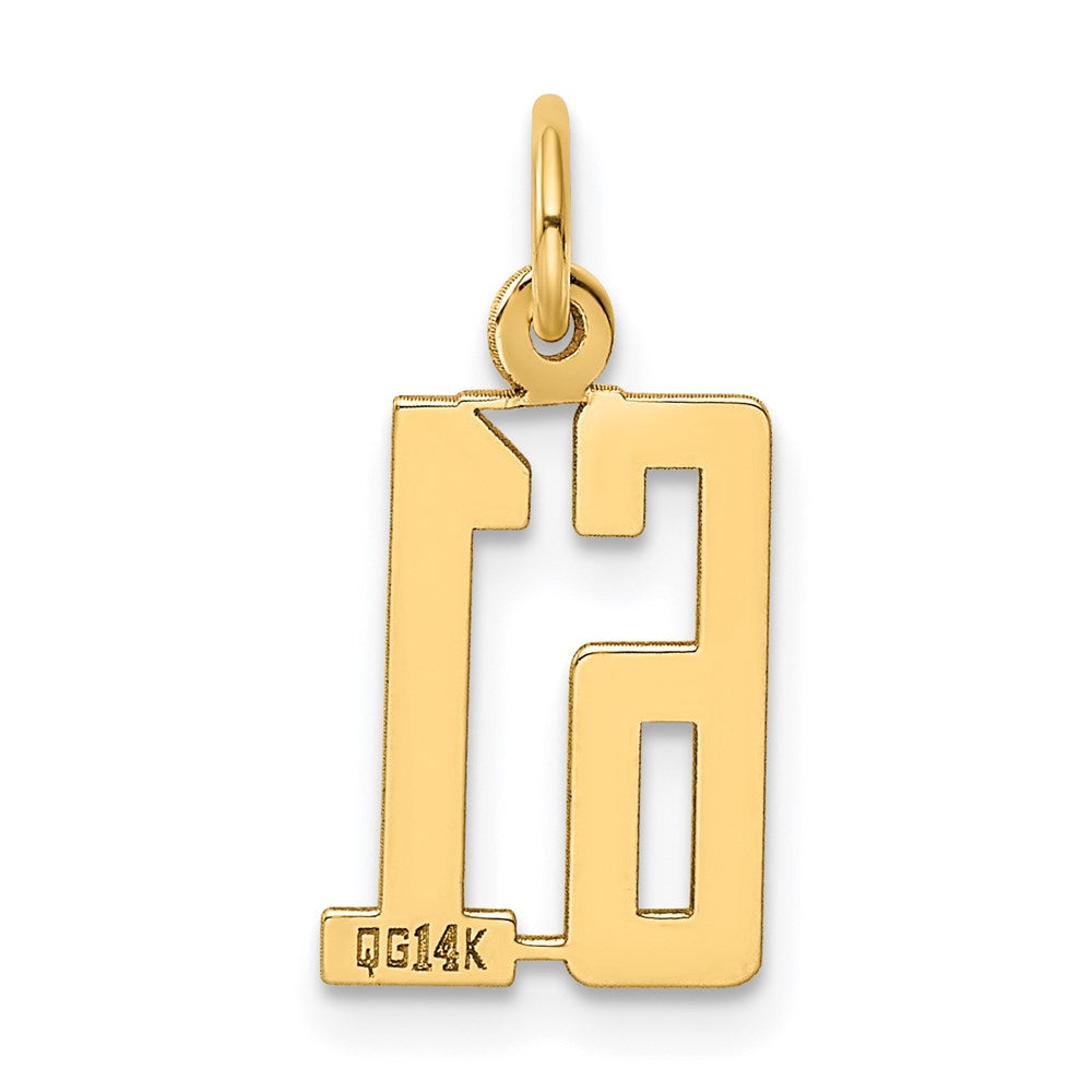 Million Charms 14K Yellow Gold Themed Small Polished Elongated 61 Charm