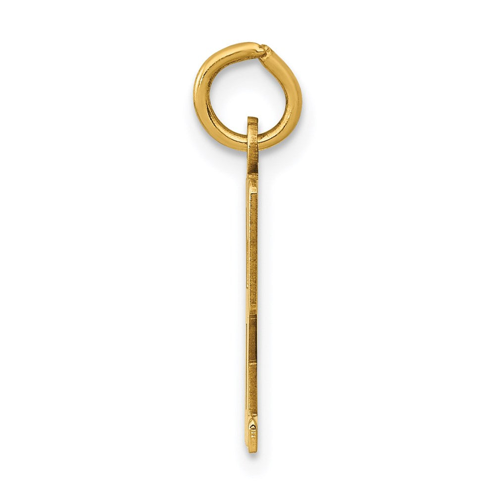 Million Charms 14K Yellow Gold Themed Small Polished Elongated 62 Charm
