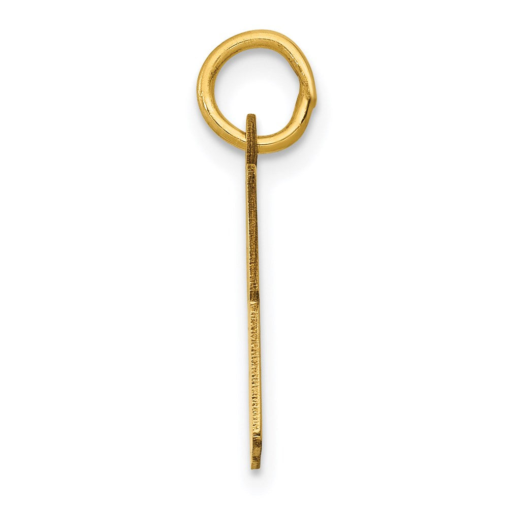 Million Charms 14K Yellow Gold Themed Small Polished Elongated 68 Charm