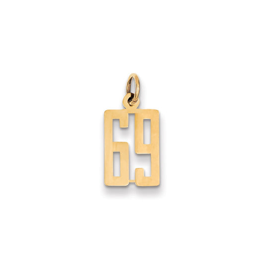 Million Charms 14K Yellow Gold Themed Small Polished Elongated 69 Charm
