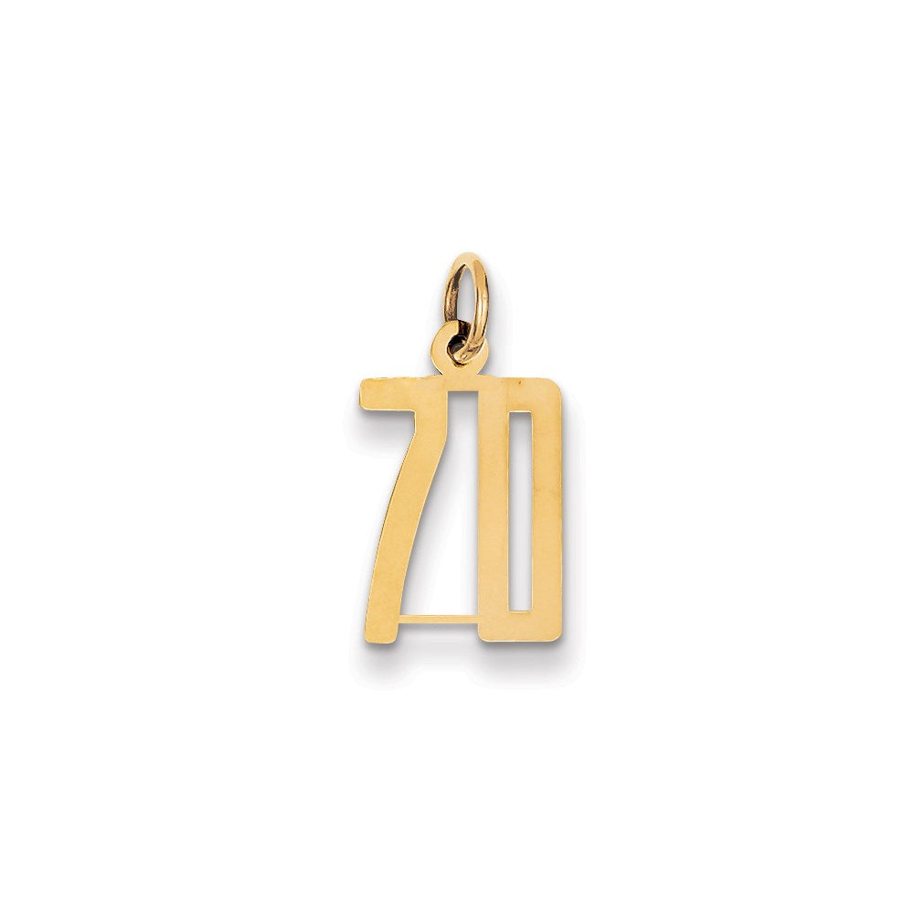 Million Charms 14K Yellow Gold Themed Small Polished Elongated 70 Charm
