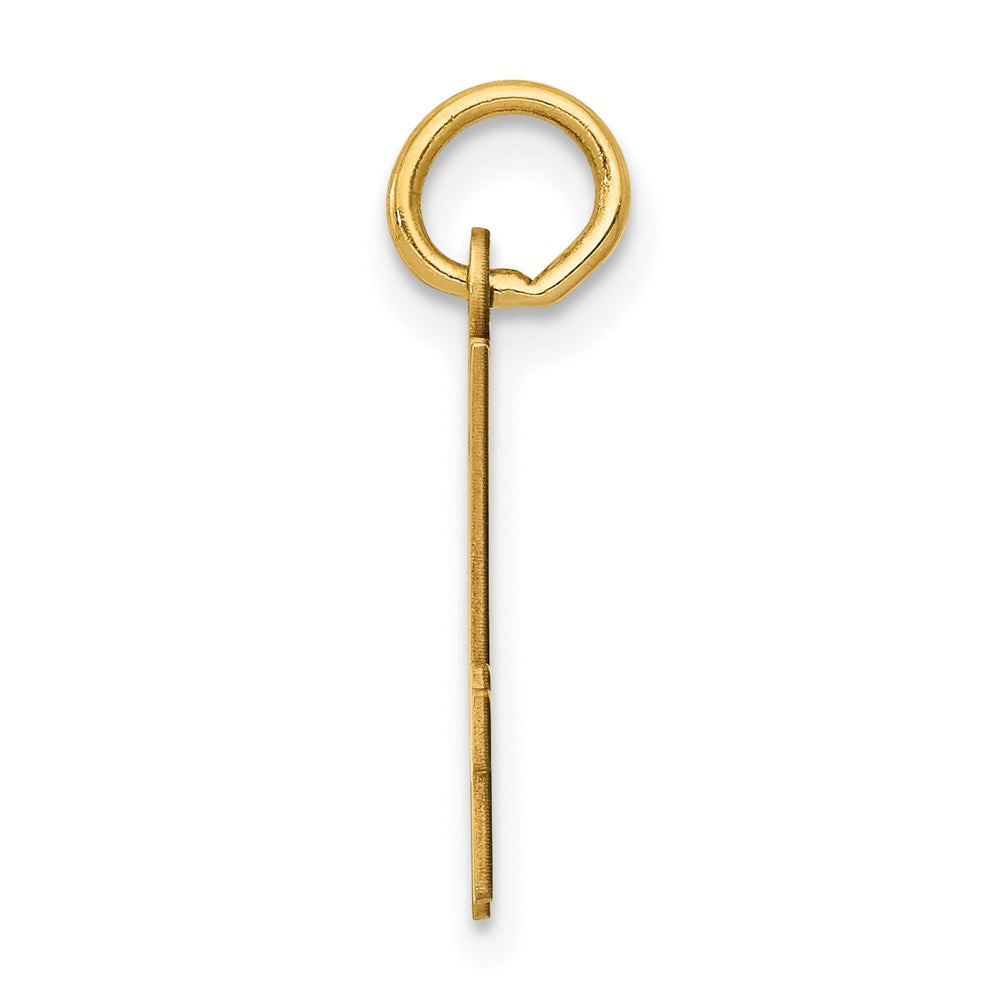 Million Charms 14K Yellow Gold Themed Small Polished Elongated 74 Charm