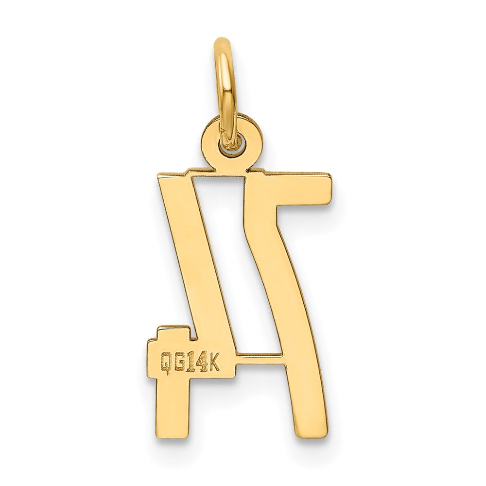 Million Charms 14K Yellow Gold Themed Small Polished Elongated 74 Charm