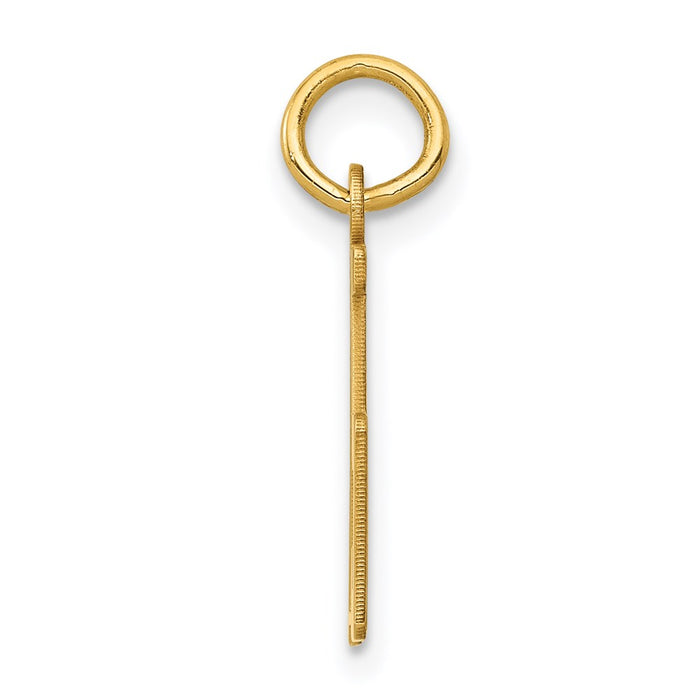 Million Charms 14K Yellow Gold Themed Small Polished Elongated 75 Charm