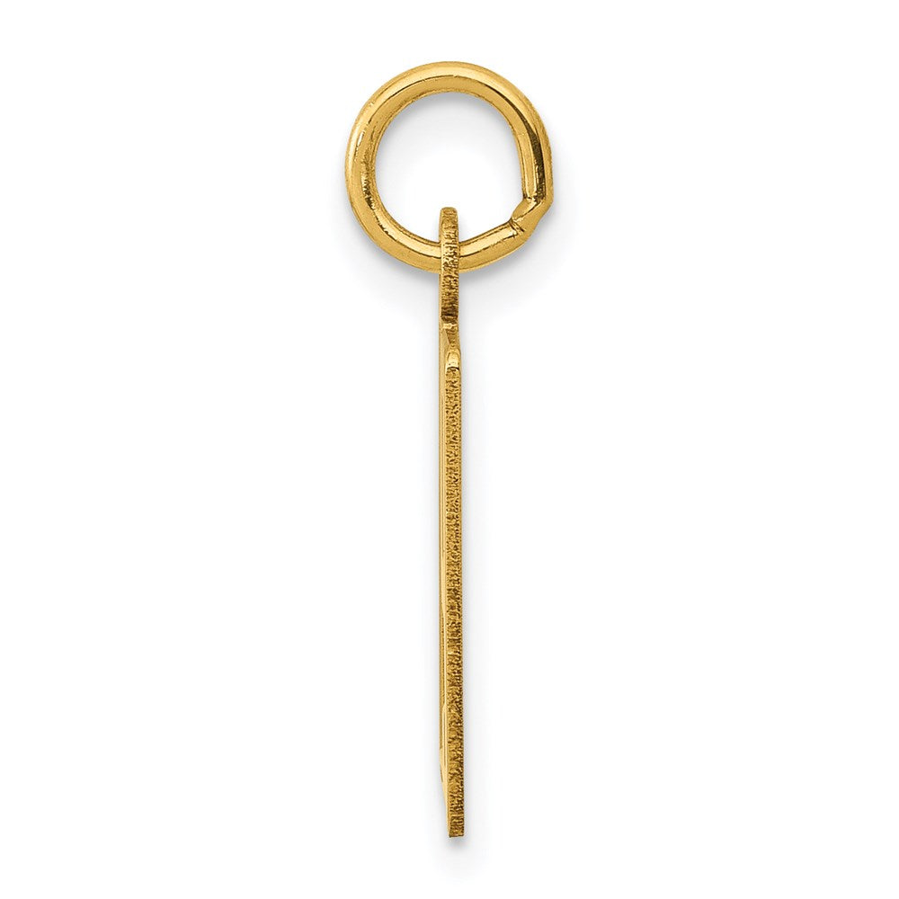Million Charms 14K Yellow Gold Themed Small Polished Elongated 79 Charm