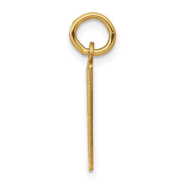Million Charms 14K Yellow Gold Themed Small Polished Elongated 87 Charm