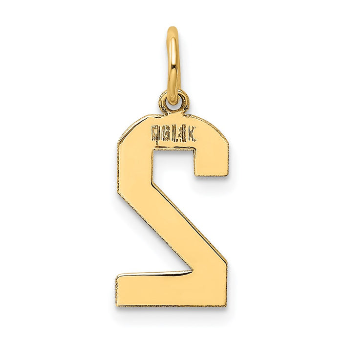 Million Charms 14K Yellow Gold Themed Medium Polished Number 2 Charm