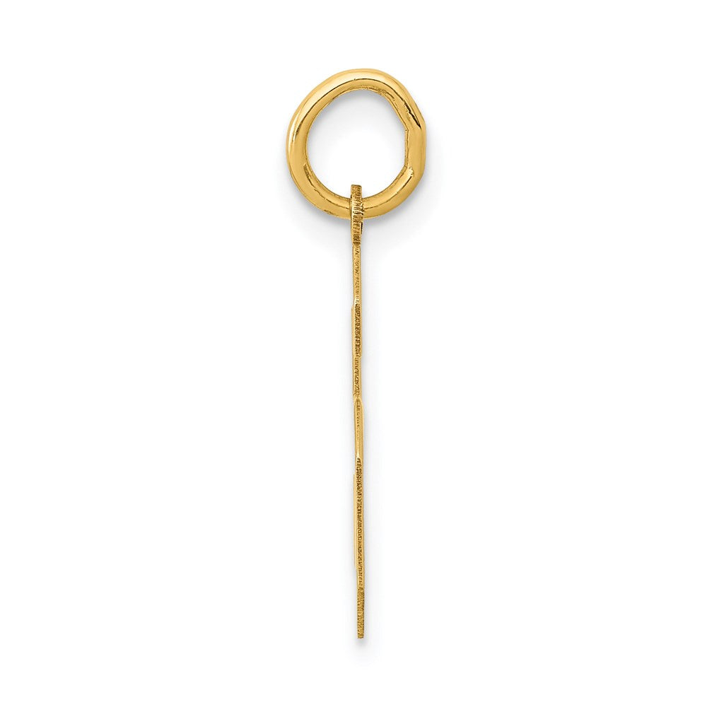 Million Charms 14K Yellow Gold Themed Medium Polished Number 6 Charm