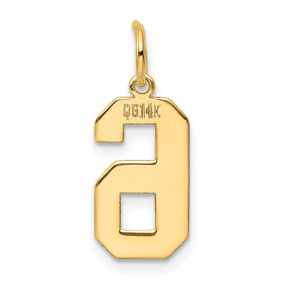 Million Charms 14K Yellow Gold Themed Medium Polished Number 6 Charm