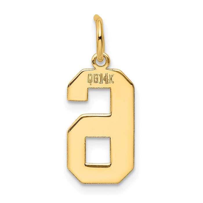 Million Charms 14K Yellow Gold Themed Medium Polished Number 6 Charm