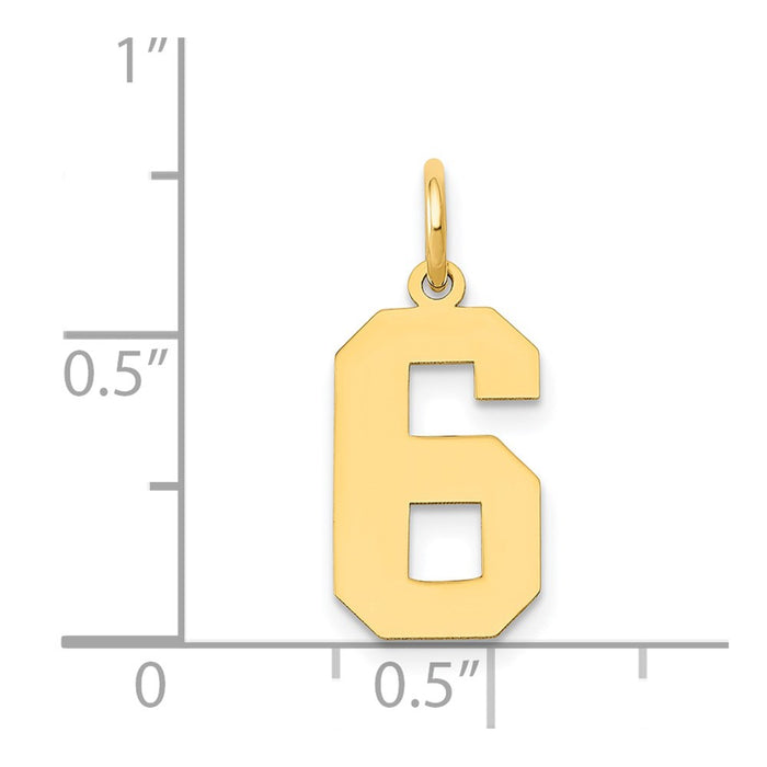Million Charms 14K Yellow Gold Themed Medium Polished Number 6 Charm