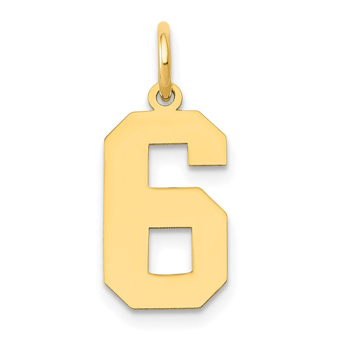 Million Charms 14K Yellow Gold Themed Medium Polished Number 6 Charm