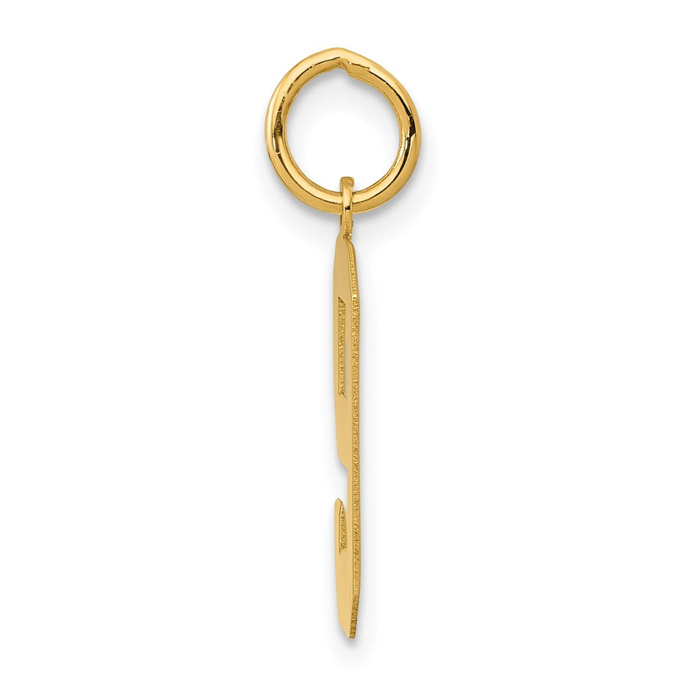 Million Charms 14K Yellow Gold Themed Medium Polished Number 9 Charm