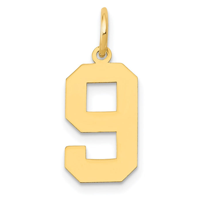 Million Charms 14K Yellow Gold Themed Medium Polished Number 9 Charm