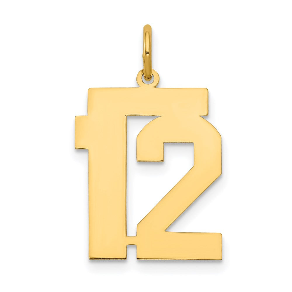 Million Charms 14K Yellow Gold Themed Medium Polished Number 12 Charm