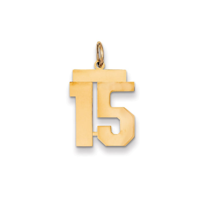 Million Charms 14K Yellow Gold Themed Medium Polished Number 15 Charm