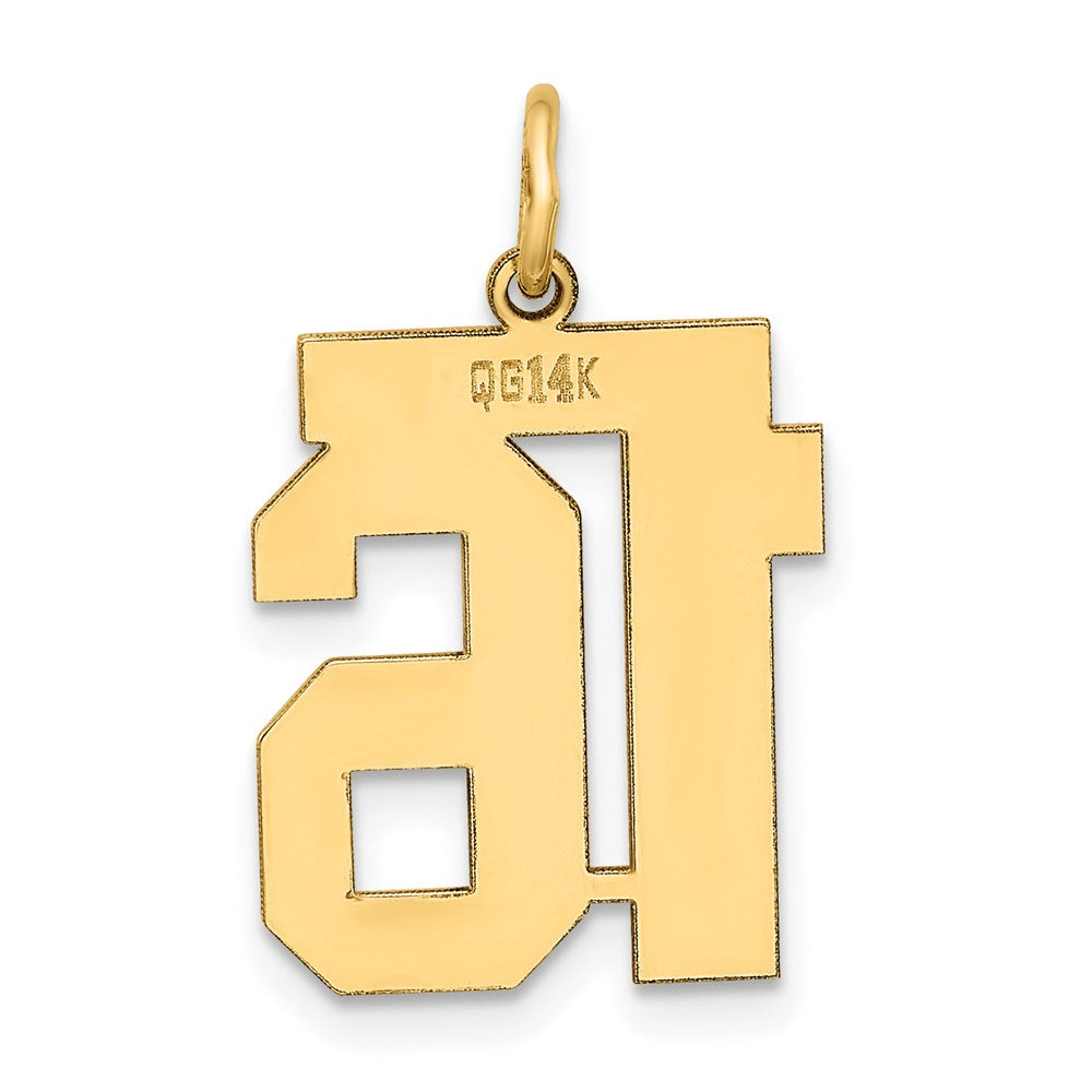 Million Charms 14K Yellow Gold Themed Medium Polished Number 16 Charm