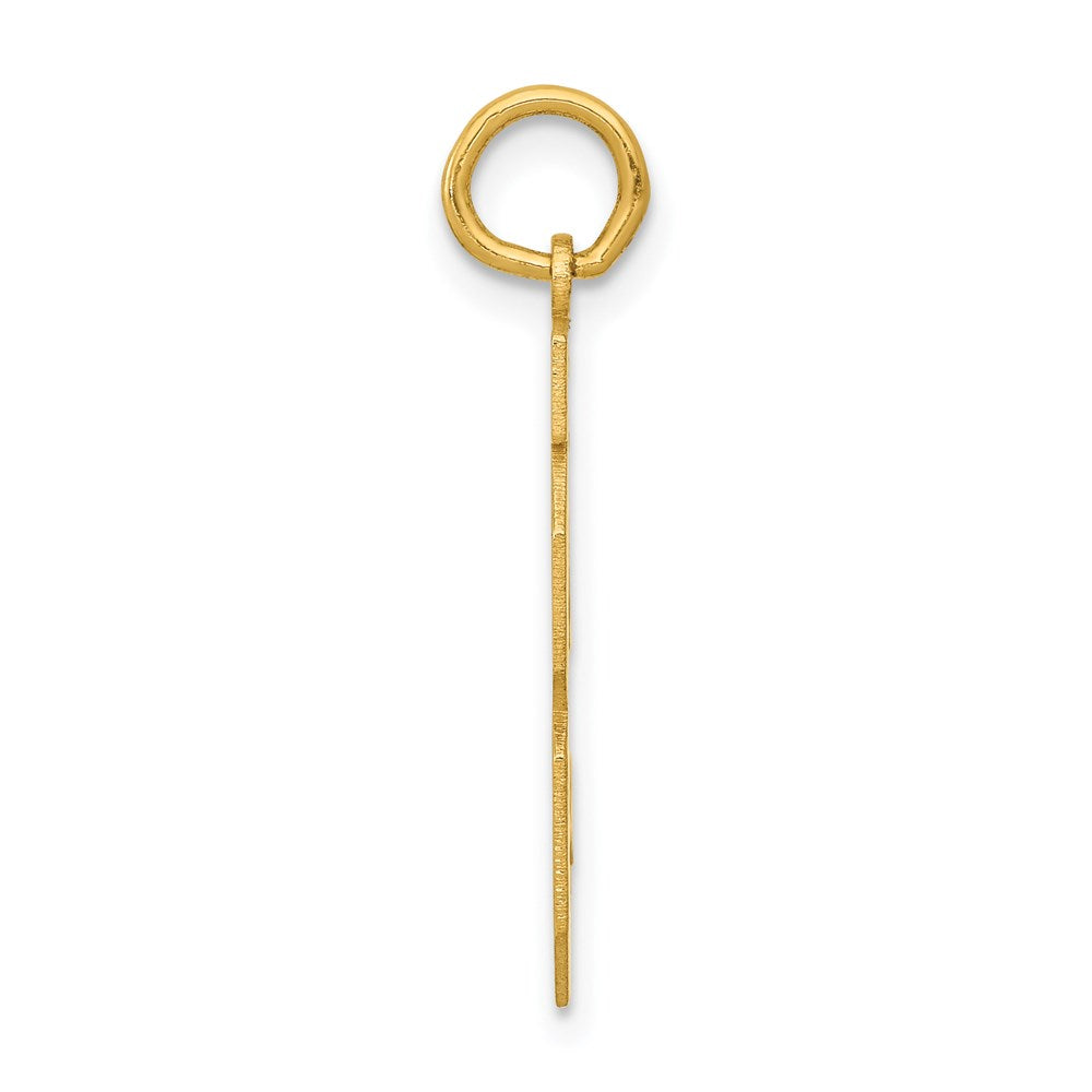 Million Charms 14K Yellow Gold Themed Medium Polished Number 18 Charm