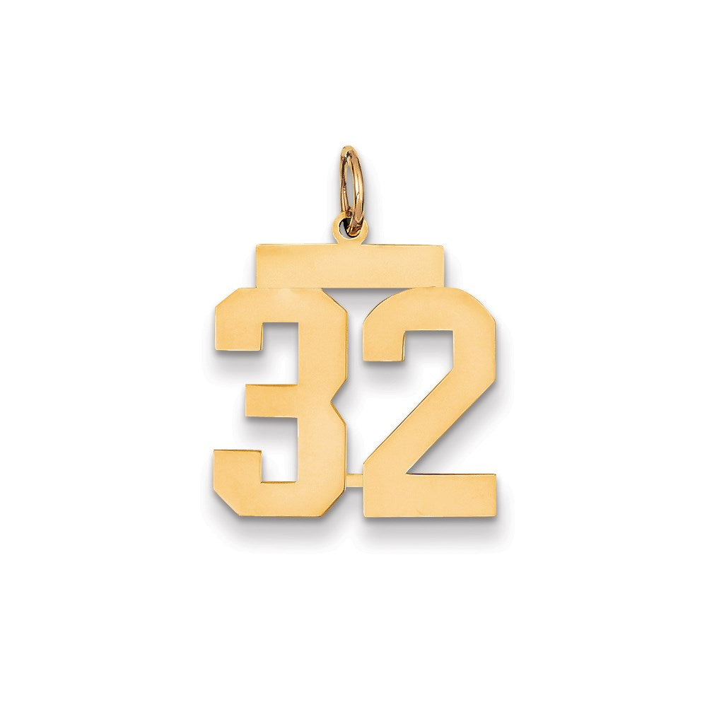 Million Charms 14K Yellow Gold Themed Medium Polished Number 32 Charm