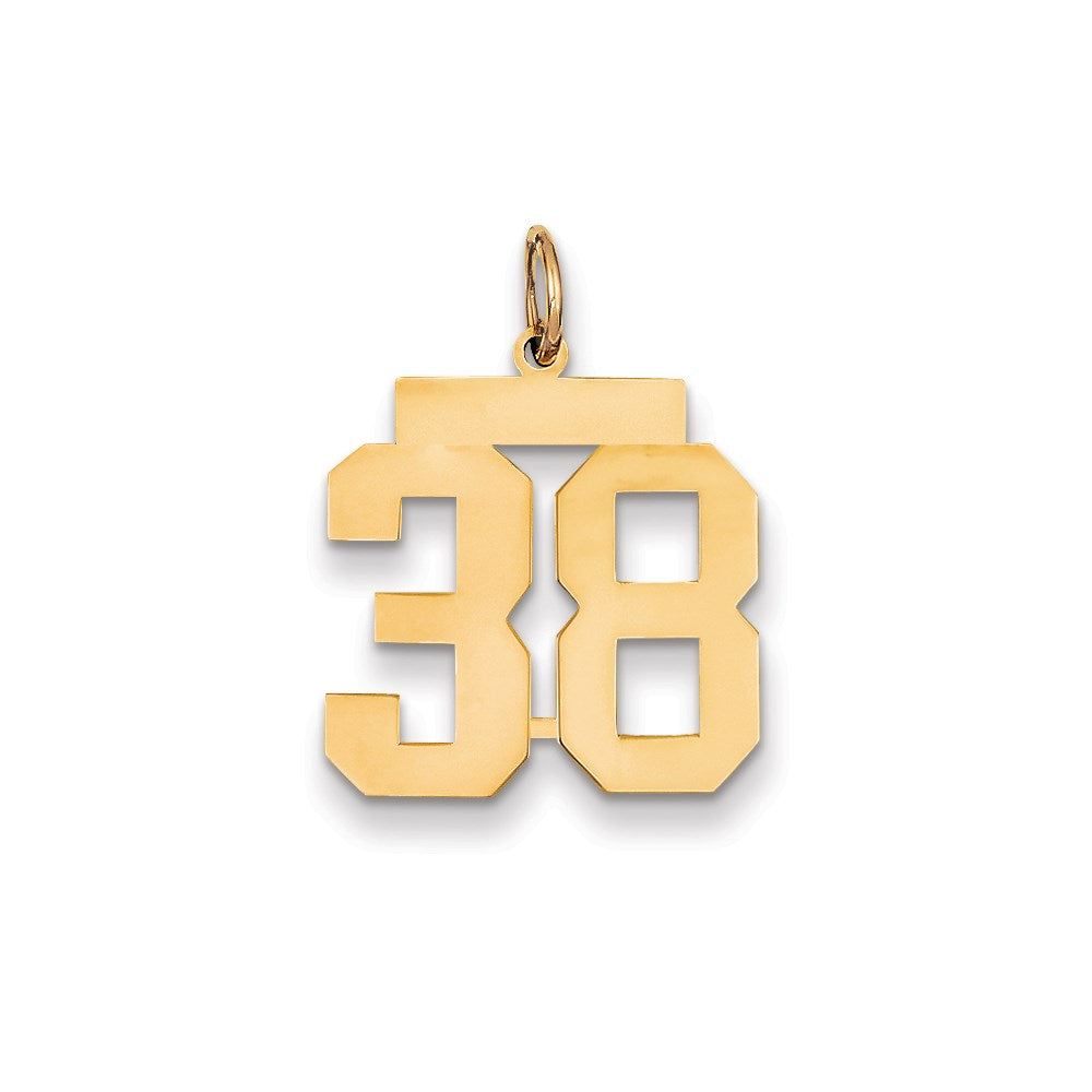 Million Charms 14K Yellow Gold Themed Medium Polished Number 38 Charm