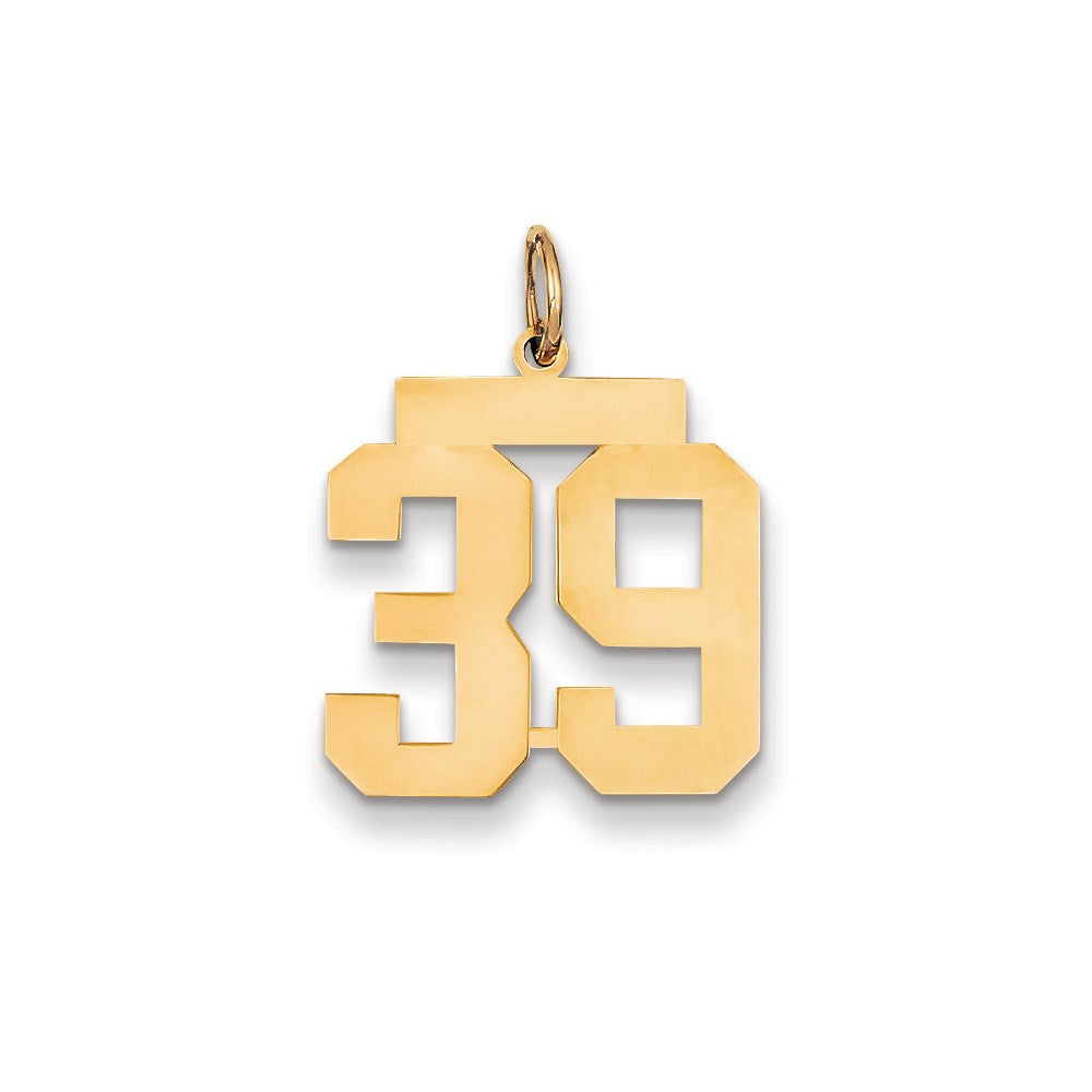 Million Charms 14K Yellow Gold Themed Medium Polished Number 39 Charm