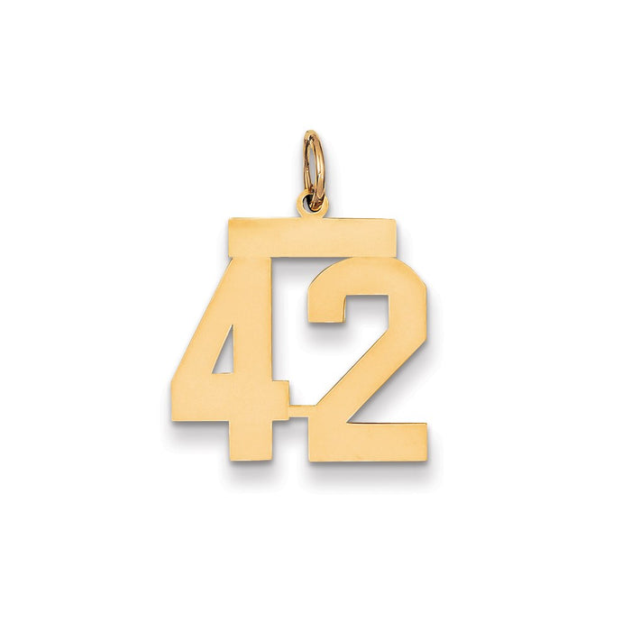 Million Charms 14K Yellow Gold Themed Medium Polished Number 42 Charm