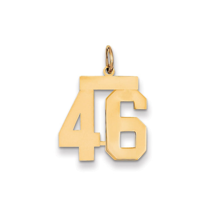 Million Charms 14K Yellow Gold Themed Medium Polished Number 46 Charm