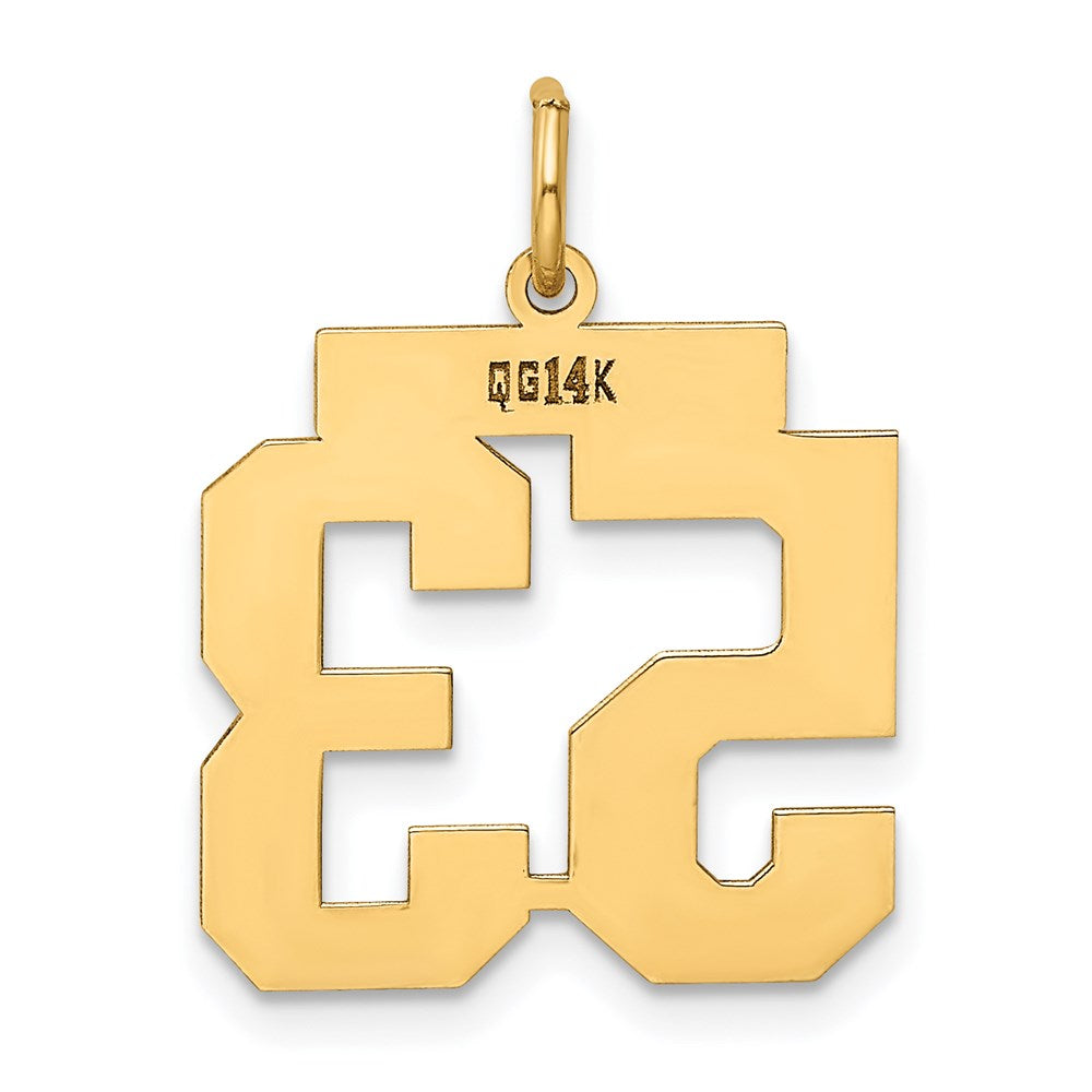 Million Charms 14K Yellow Gold Themed Medium Polished Number 53 Charm