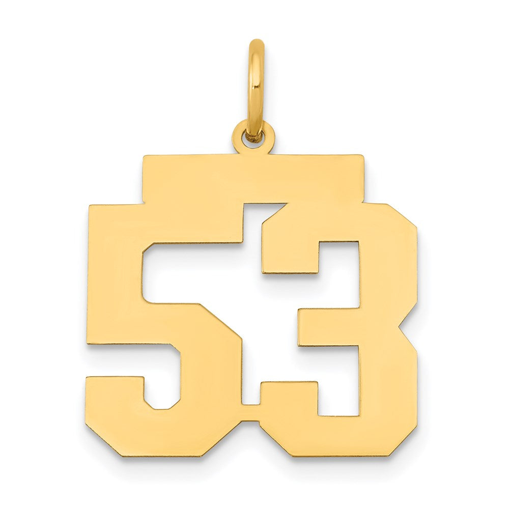 Million Charms 14K Yellow Gold Themed Medium Polished Number 53 Charm