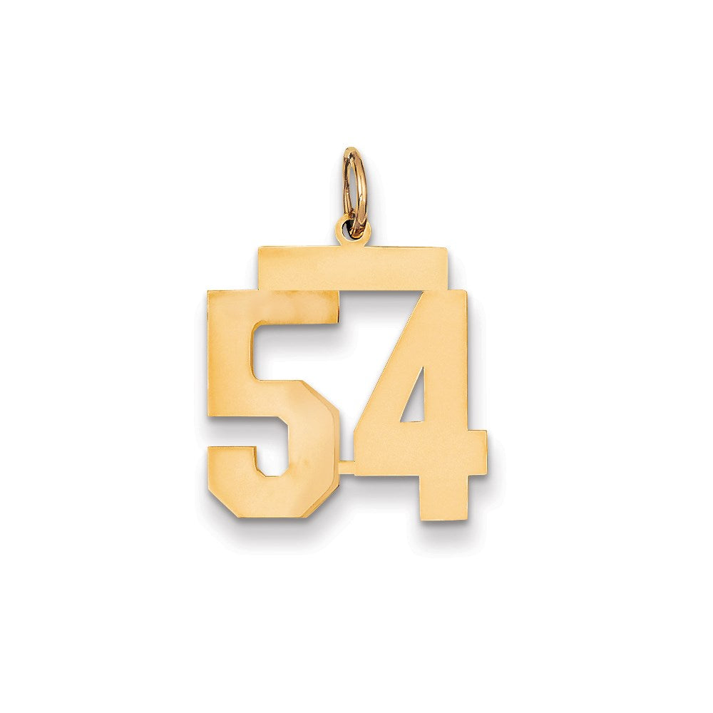 Million Charms 14K Yellow Gold Themed Medium Polished Number 54 Charm