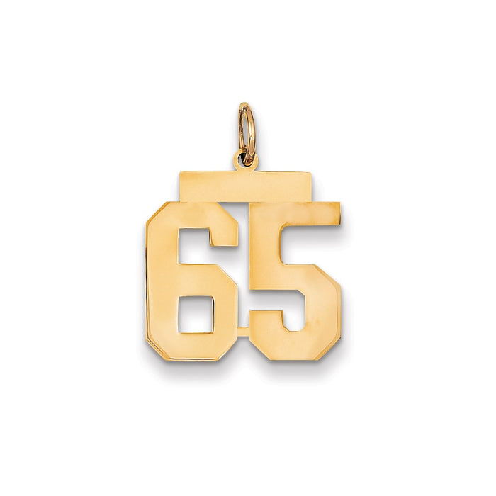 Million Charms 14K Yellow Gold Themed Medium Polished Number 65 Charm