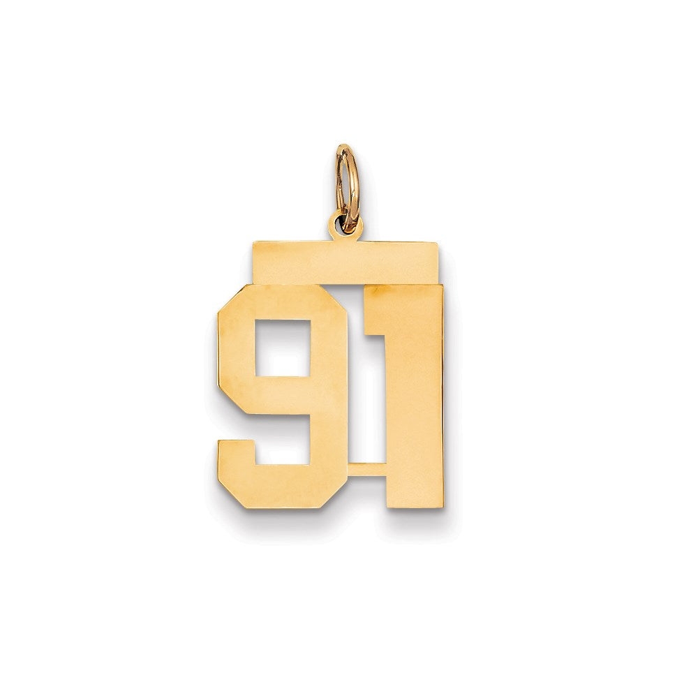 Million Charms 14K Yellow Gold Themed Medium Polished Number 91 Charm