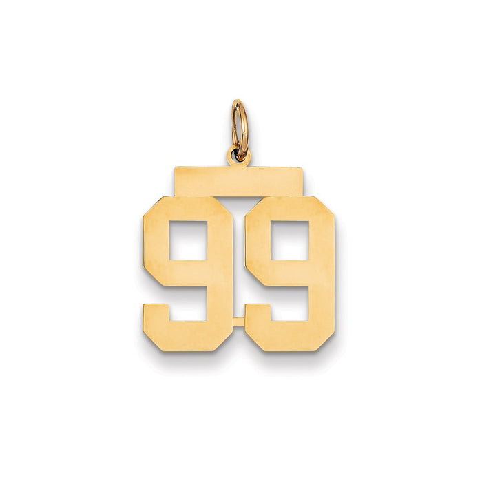 Million Charms 14K Yellow Gold Themed Medium Polished Number 99 Charm