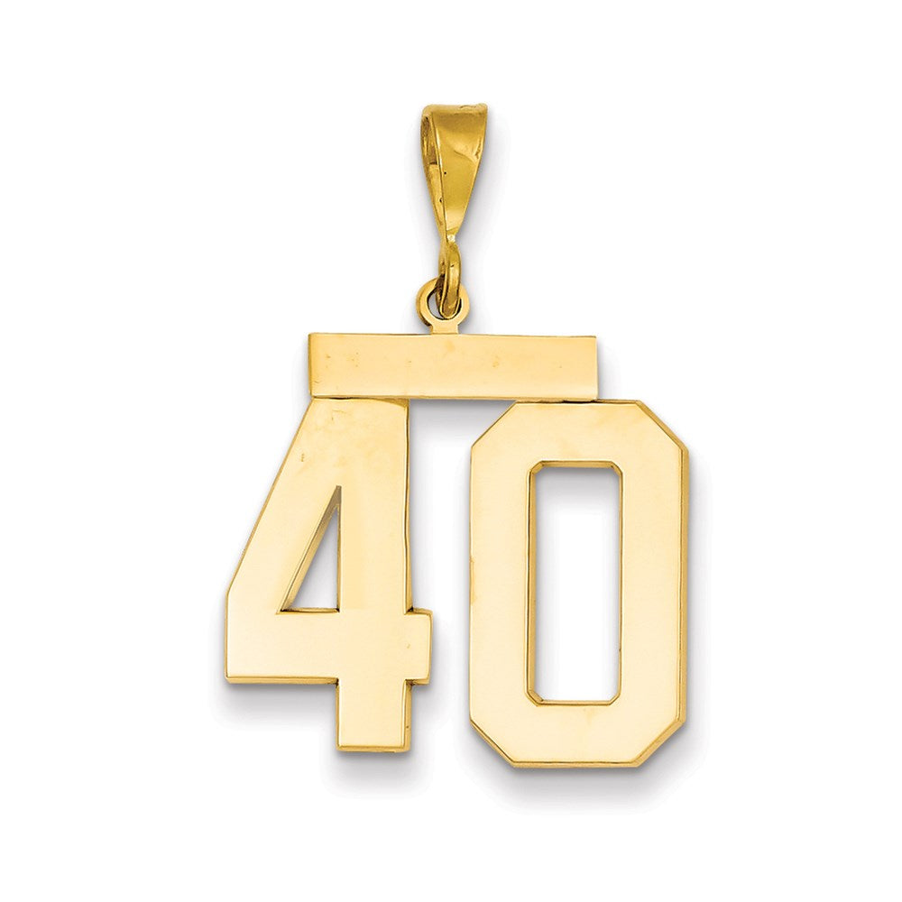 Million Charms 14K Yellow Gold Themed Large Polished Number 40 Charm