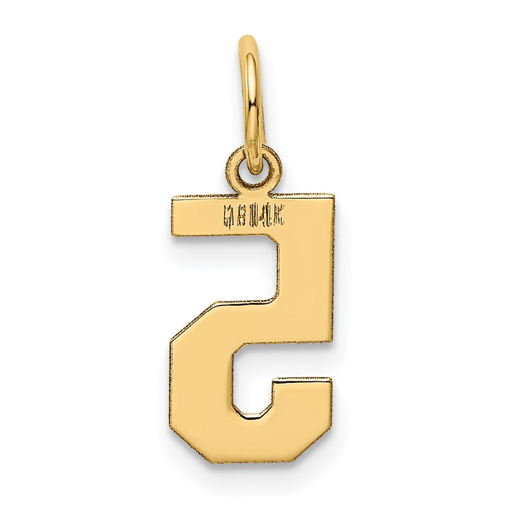 Million Charms 14K Yellow Gold Themed Small Polished Number 5 Charm