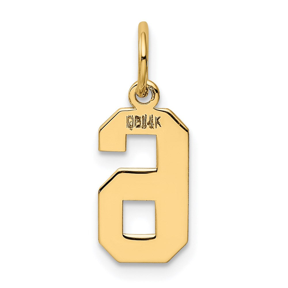Million Charms 14K Yellow Gold Themed Small Polished Number 6 Charm