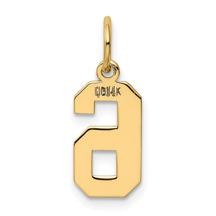 Million Charms 14K Yellow Gold Themed Small Polished Number 6 Charm