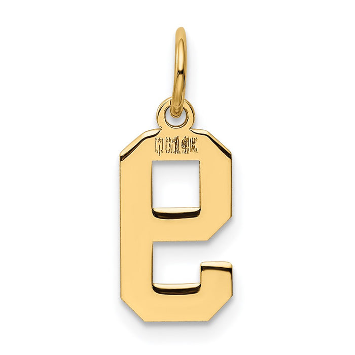 Million Charms 14K Yellow Gold Themed Small Polished Number 9 Charm