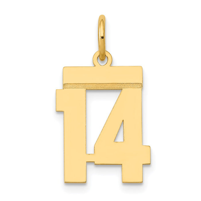 Million Charms 14K Yellow Gold Themed Small Polished Number 14 Charm