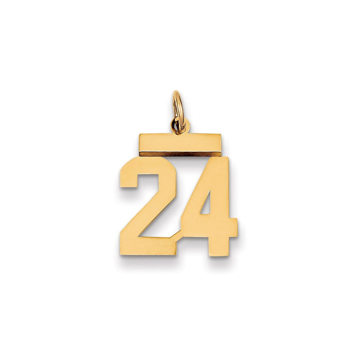 Million Charms 14K Yellow Gold Themed Small Polished Number 24 Charm