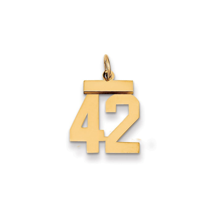 Million Charms 14K Yellow Gold Themed Small Polished Number 42 Charm