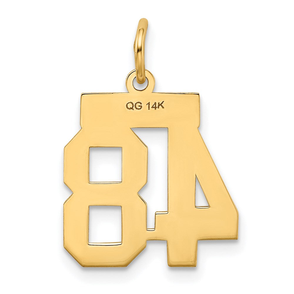 Million Charms 14K Yellow Gold Themed Small Polished Number 48 Charm
