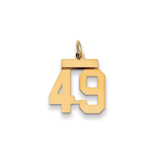 Million Charms 14K Yellow Gold Themed Small Polished Number 49 Charm