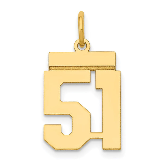 Million Charms 14K Yellow Gold Themed Small Polished Number 51 Charm